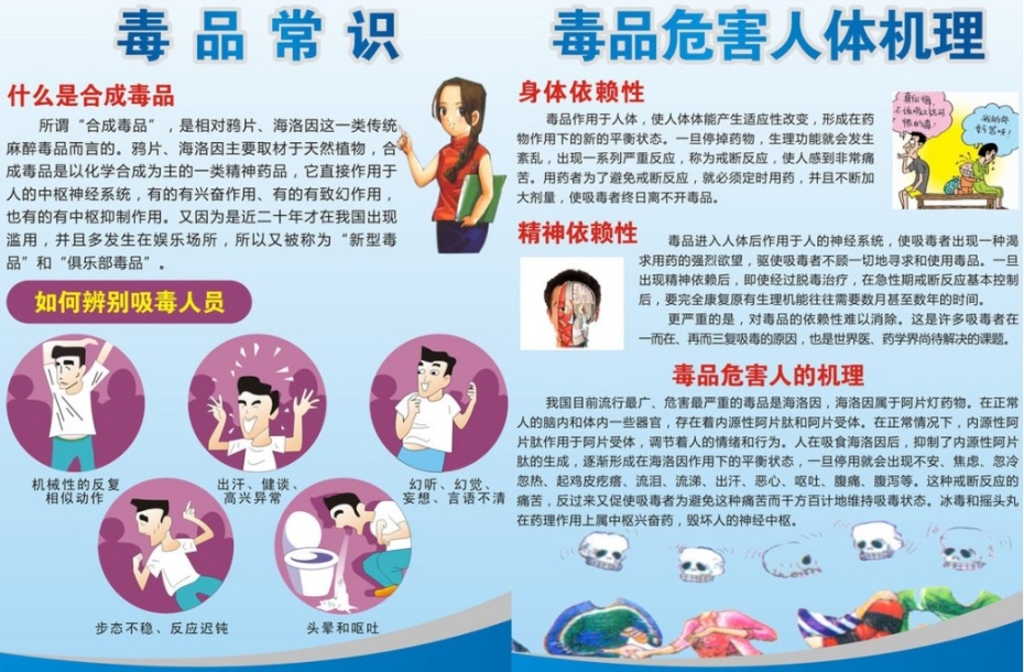 无毒青春，健康生活