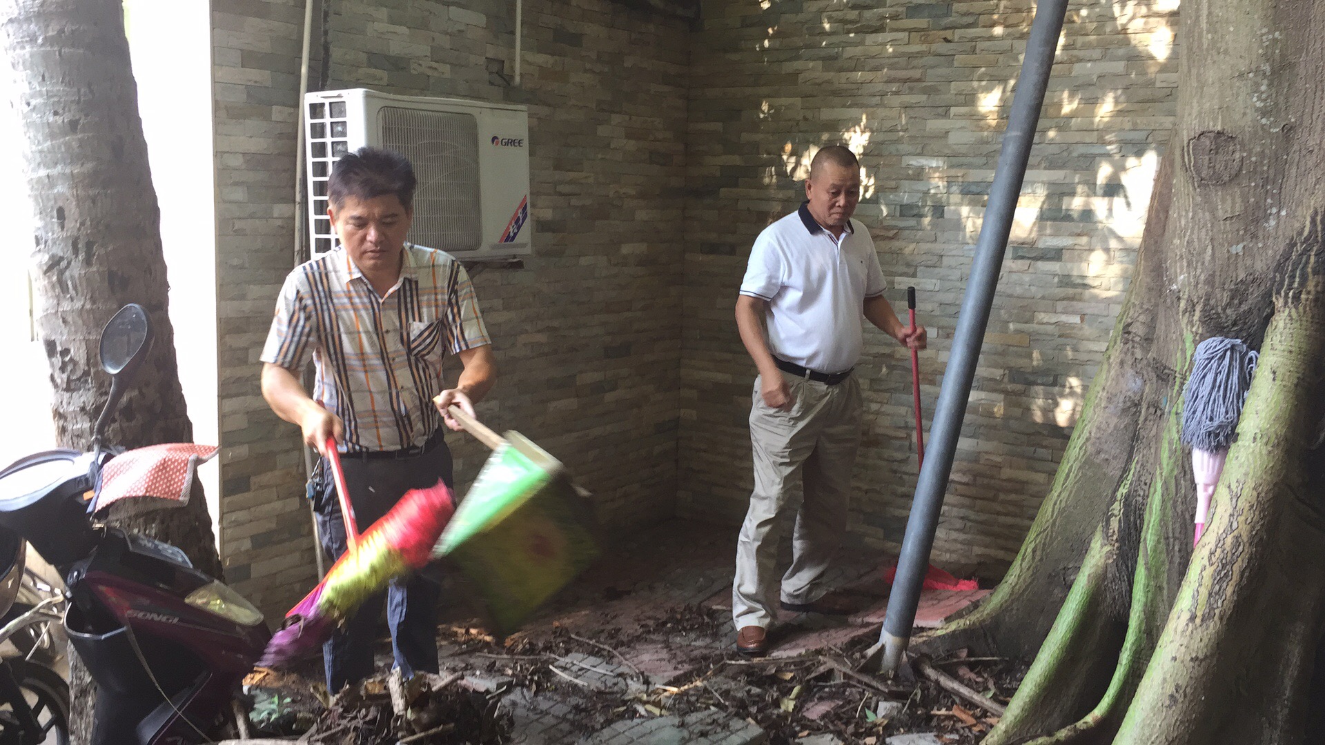 我处教职工开展防治登革热大扫除